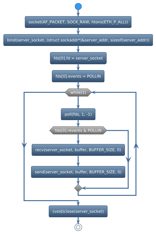 @startuml
!theme spacelab
start
:socket(AF_PACKET, SOCK_RAW, htons(ETH_P_ALL));
:bind(server_socket, (struct sockaddr*)&server_addr, sizeof(server_addr));
:fds[0].fd = server_socket;
:fds[0].events = POLLIN;
while (while(1)) is (yes)
:poll(fds, 1, -1);
if (fds[0].revents & POLLIN) then (yes)
     :recv(server_socket, buffer, BUFFER_SIZE, 0);
     :send(server_socket, buffer, BUFFER_SIZE, 0);
else (no)
endif
endwhile (CTRL+c)
:(void)close(server_socket);
stop
@enduml